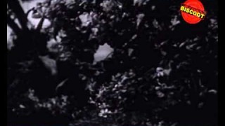 Chandni Ki Palki Me Baithkar I Asha Bhosle I S. D. Burman I Jeevan Jyoti 1953