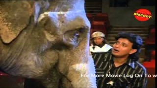 Elephant act in Gemini circus I Shikari   the Hunter I Mithun Chakraborty